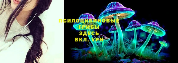 mix Алексин