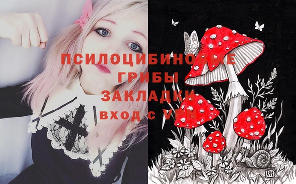 синтетический гашиш Алексеевка