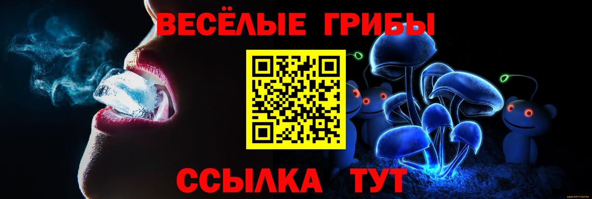 Рубцовск  Псилоцибиновые грибы мицелий  даркнет сайт  Вход с VPN 